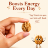 Premium Walnut Kernels– Nourish Your Mind