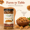 Premium Walnut Kernels– Nourish Your Mind