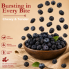 41 Dried Blueberries – Sweet, Tangy & Full of Goodness