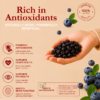 44 Dried Blueberries – Sweet, Tangy & Full of Goodness